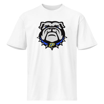 Piedmont High School Design 1 — White