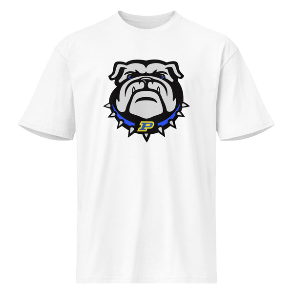 Piedmont High School Design 1 — White