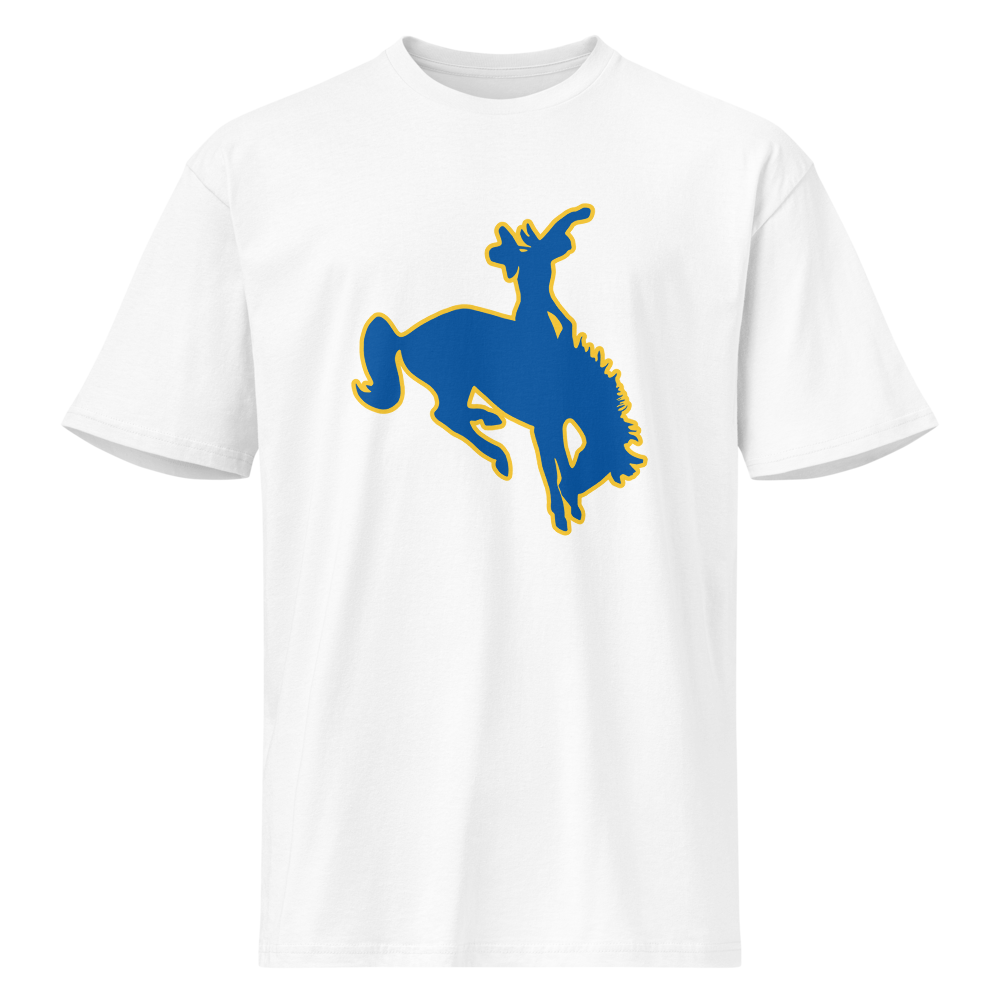Albert M. Lowry High School Design 1 — White