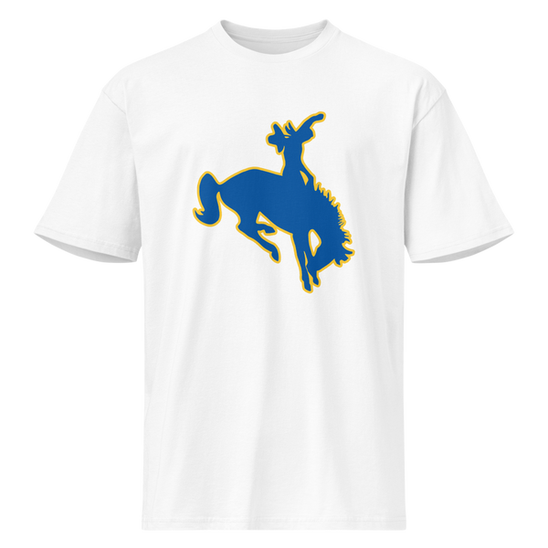 Albert M. Lowry High School Design 1 — White