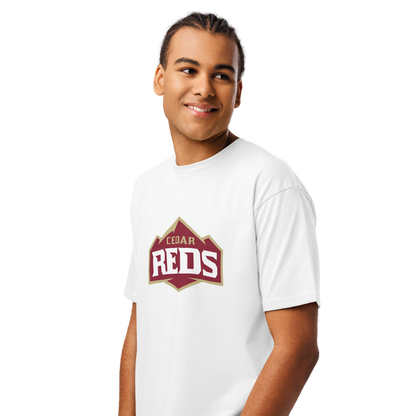Cedar High School Design 1 — White