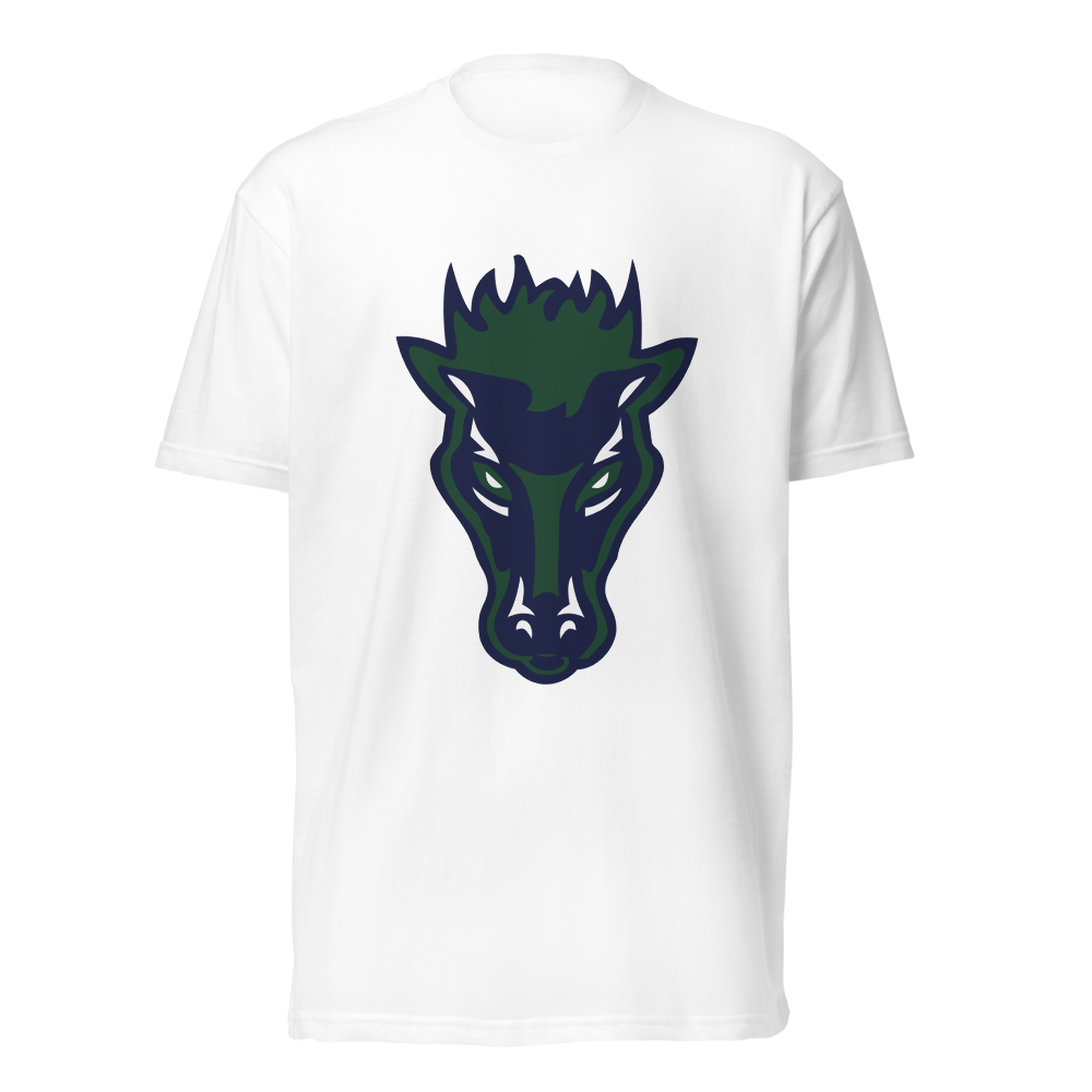 Damonte Ranch High School Design 1 — White