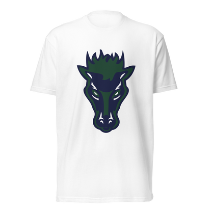Damonte Ranch High School Design 1 — White