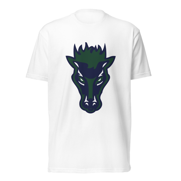 Damonte Ranch High School Design 1 — White