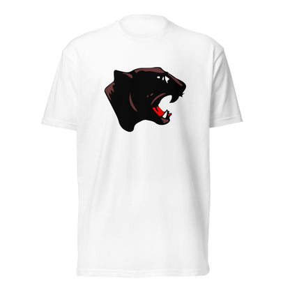 Collinsville High School Design 1 — White