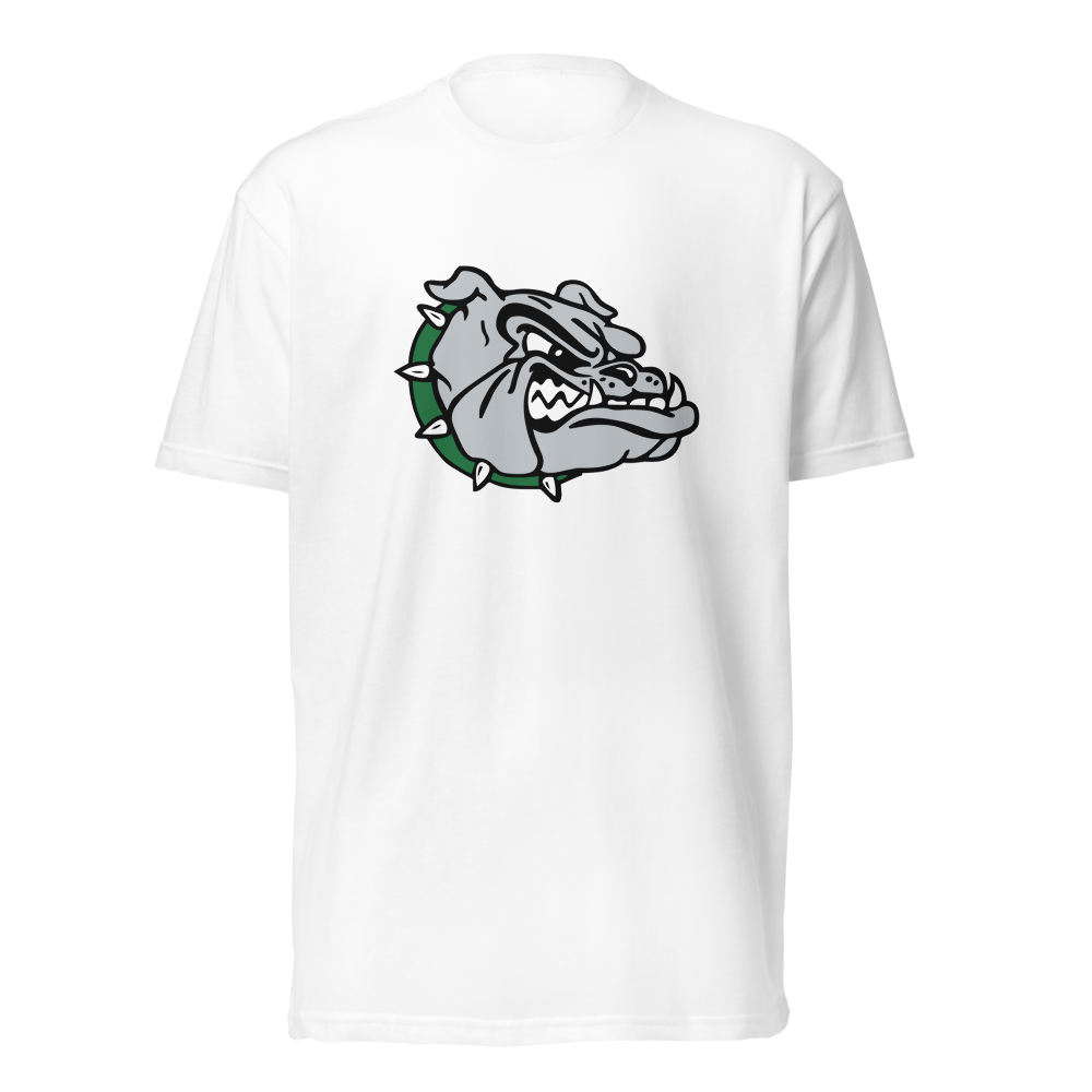 Virgin Valley High School Design 1 — White