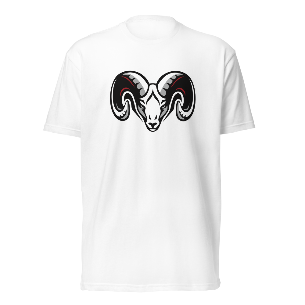 South Sevier High School Design 1 — White