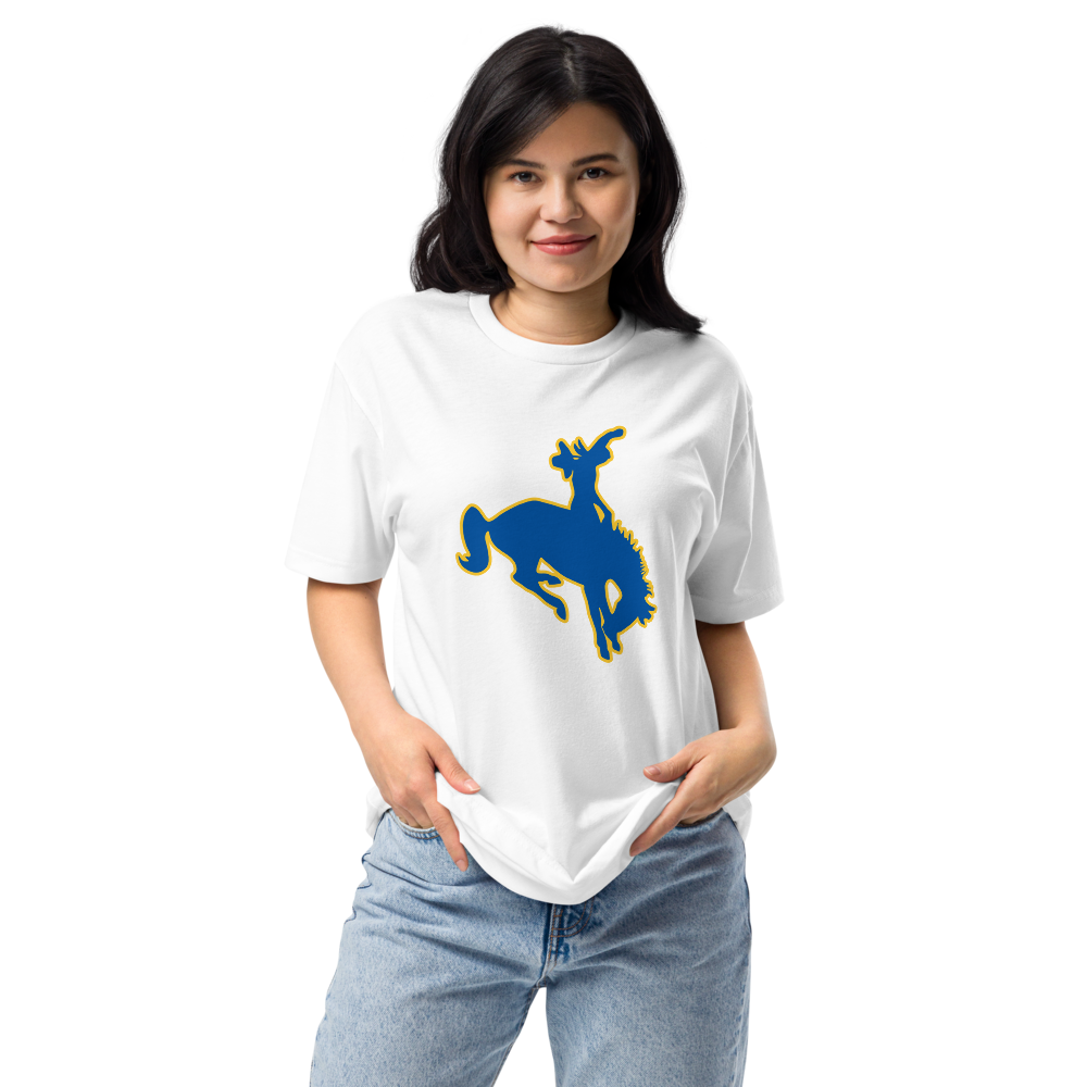 Albert M. Lowry High School Design 1 — White