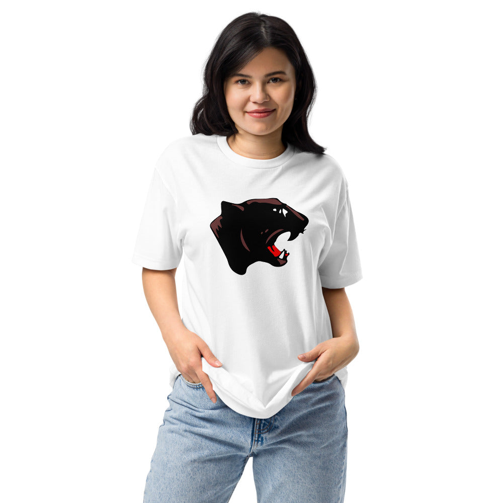 Collinsville High School Design 1 — White