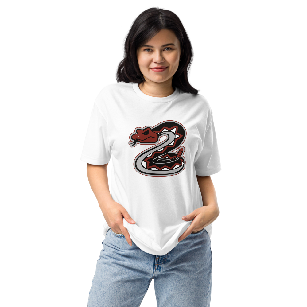 Desert Oasis High School Design 1 — White
