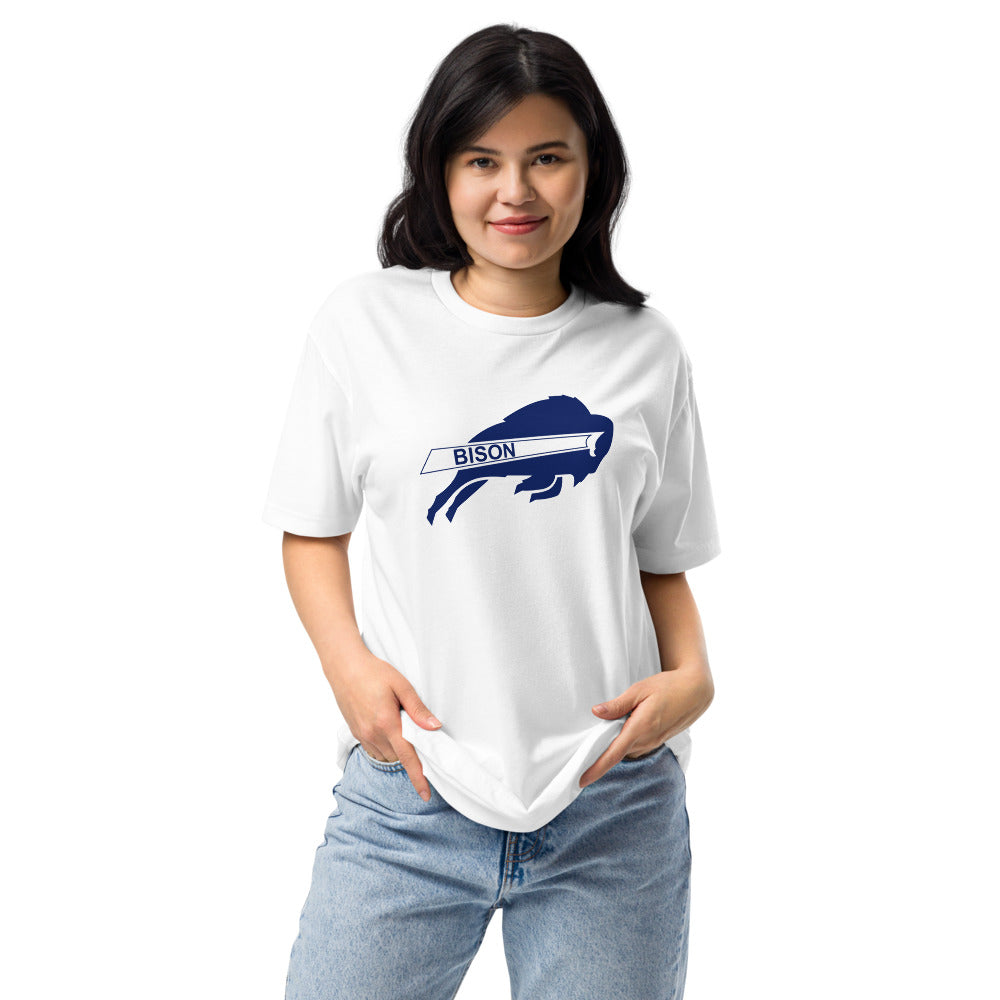 North Sand Mountain High School Design 1 — White