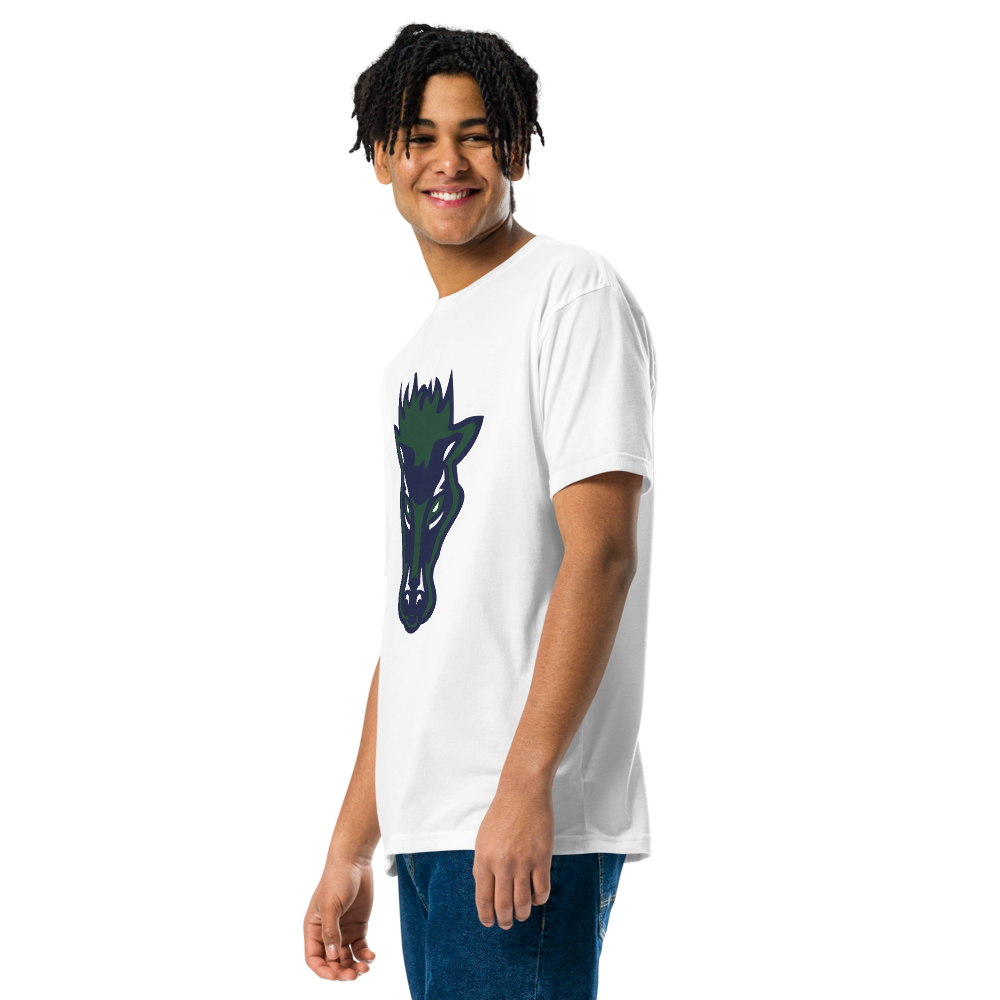 Damonte Ranch High School Design 1 — White