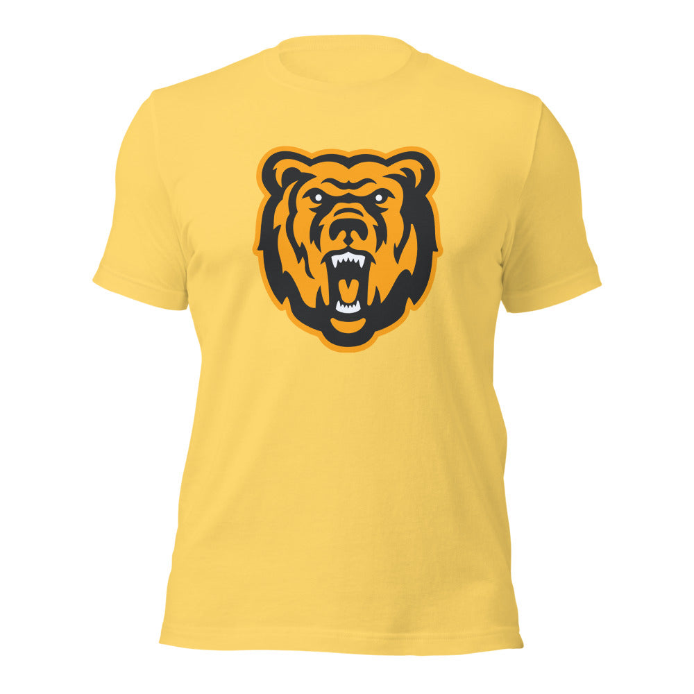 Leroy High School Design 1 — Yellow