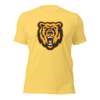 Leroy High School Design 1 — Yellow