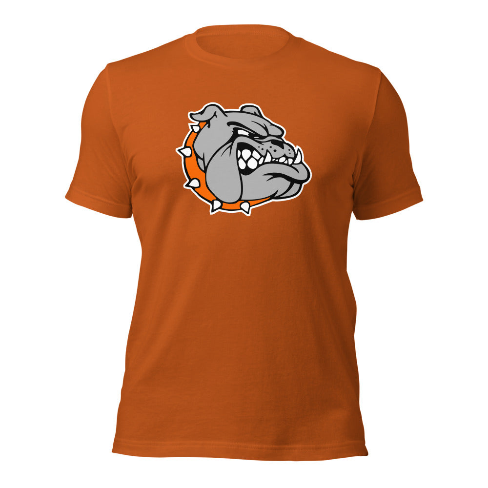 Ashville High School Design 2 — Autumn