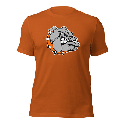 Ashville High School Design 2 — Autumn