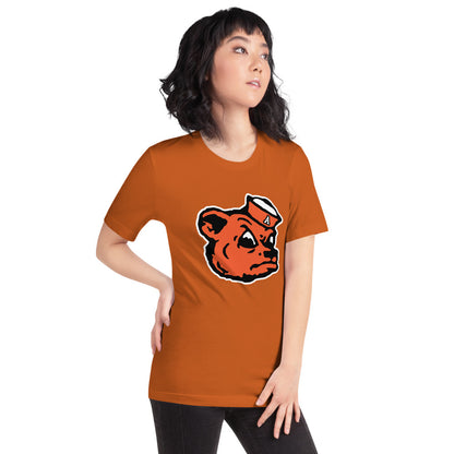 Alexandria High School Design 2 — Autumn