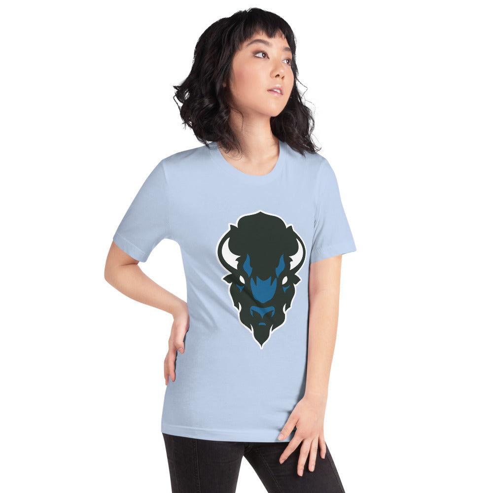 North Sand Mountain High School Design 2 — Baby Blue