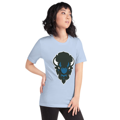 North Sand Mountain High School Design 2 — Baby Blue