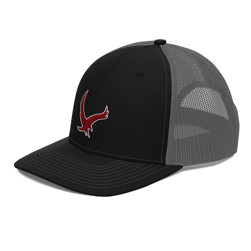 Layton Christian Academy Design 2 — Black / Charcoal
