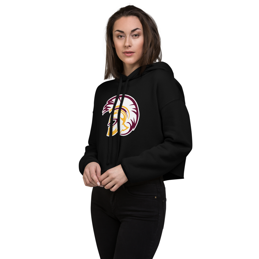 Pahrump Valley High School Design 2 — Black