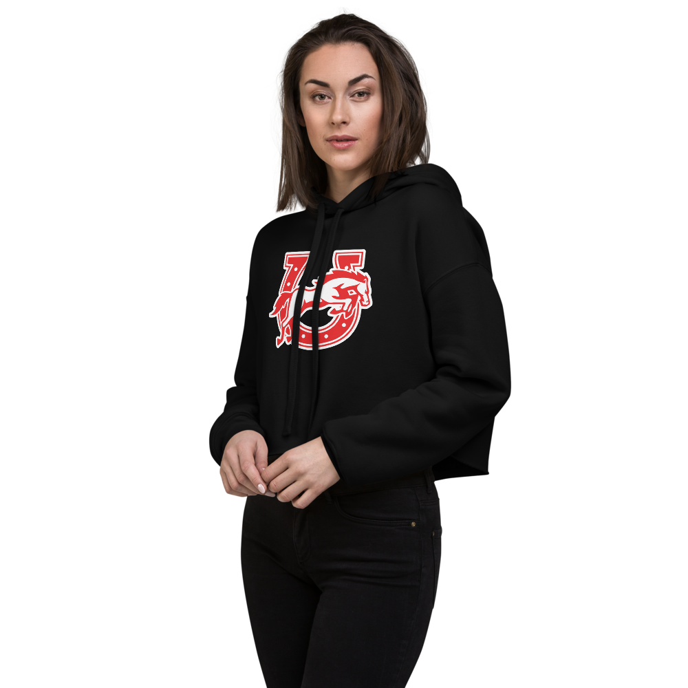 Earl Wooster High School Design 2 — Black