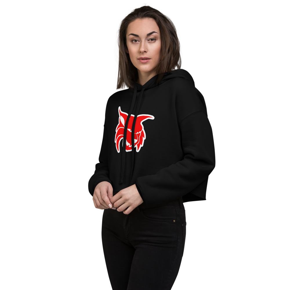 Lincoln County High School Design 2 — Black