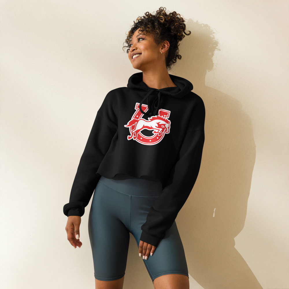 Earl Wooster High School Design 2 — Black