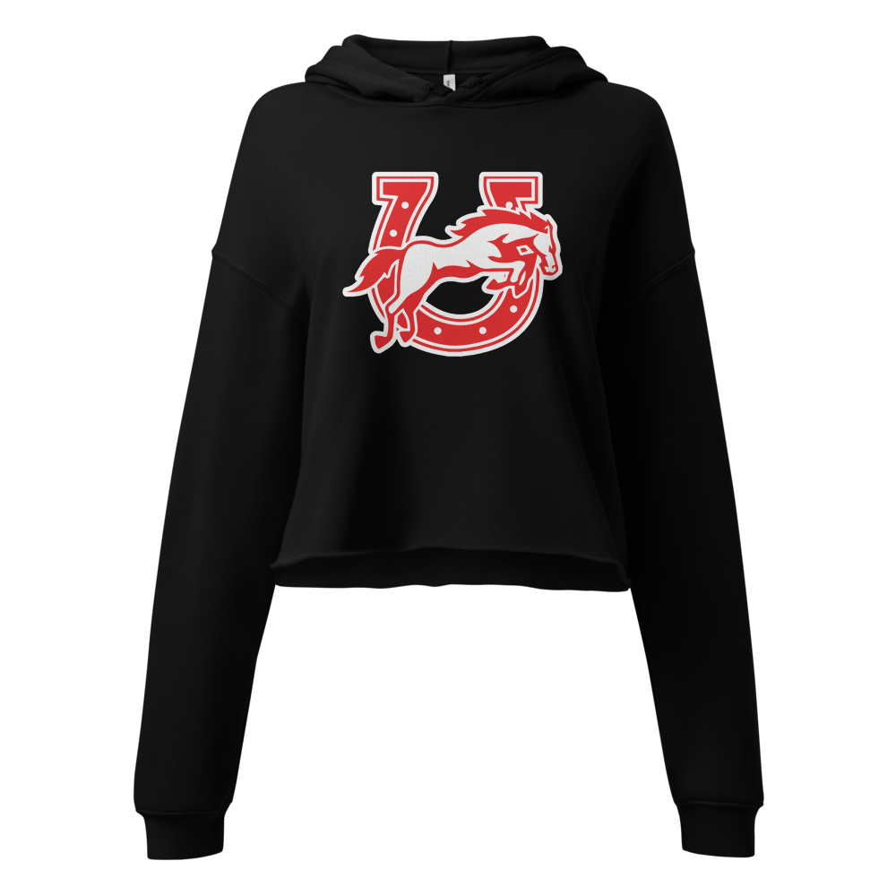 Earl Wooster High School Design 2 — Black