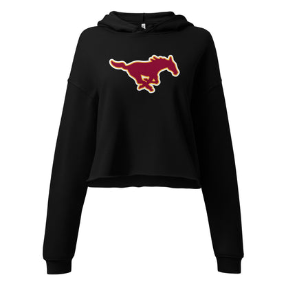 South Lamar School Design 2 — Black