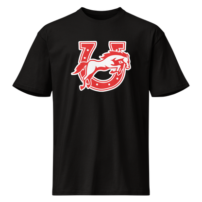 Earl Wooster High School Design 2 — Black
