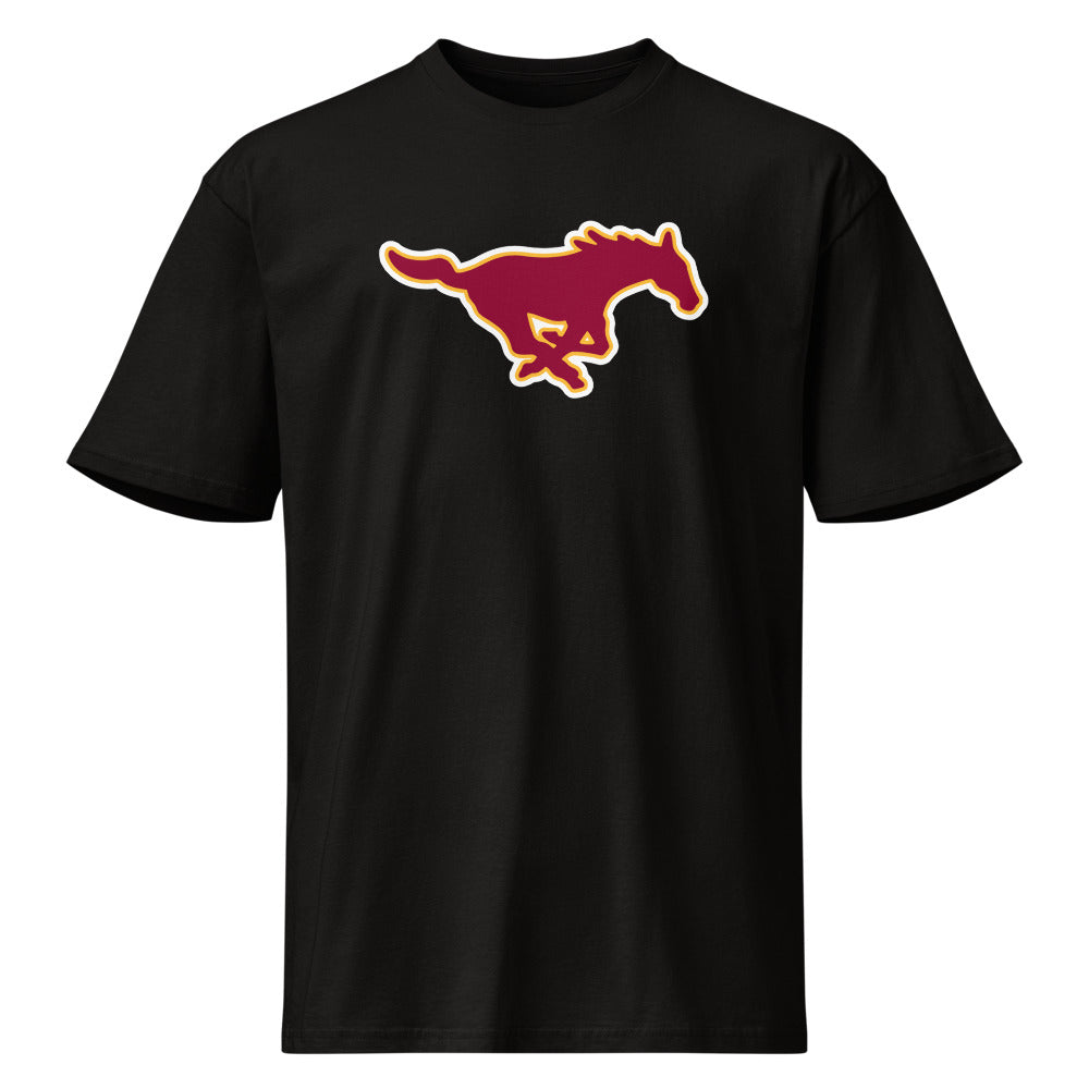 South Lamar School Design 2 — Black