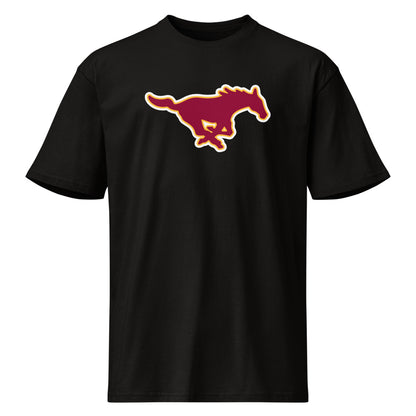 South Lamar School Design 2 — Black