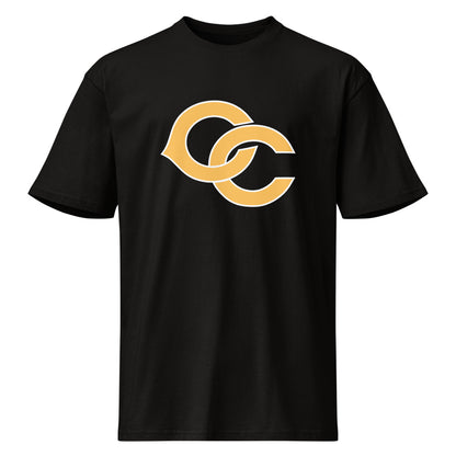 Cherokee County HIgh School Design 2 — Black