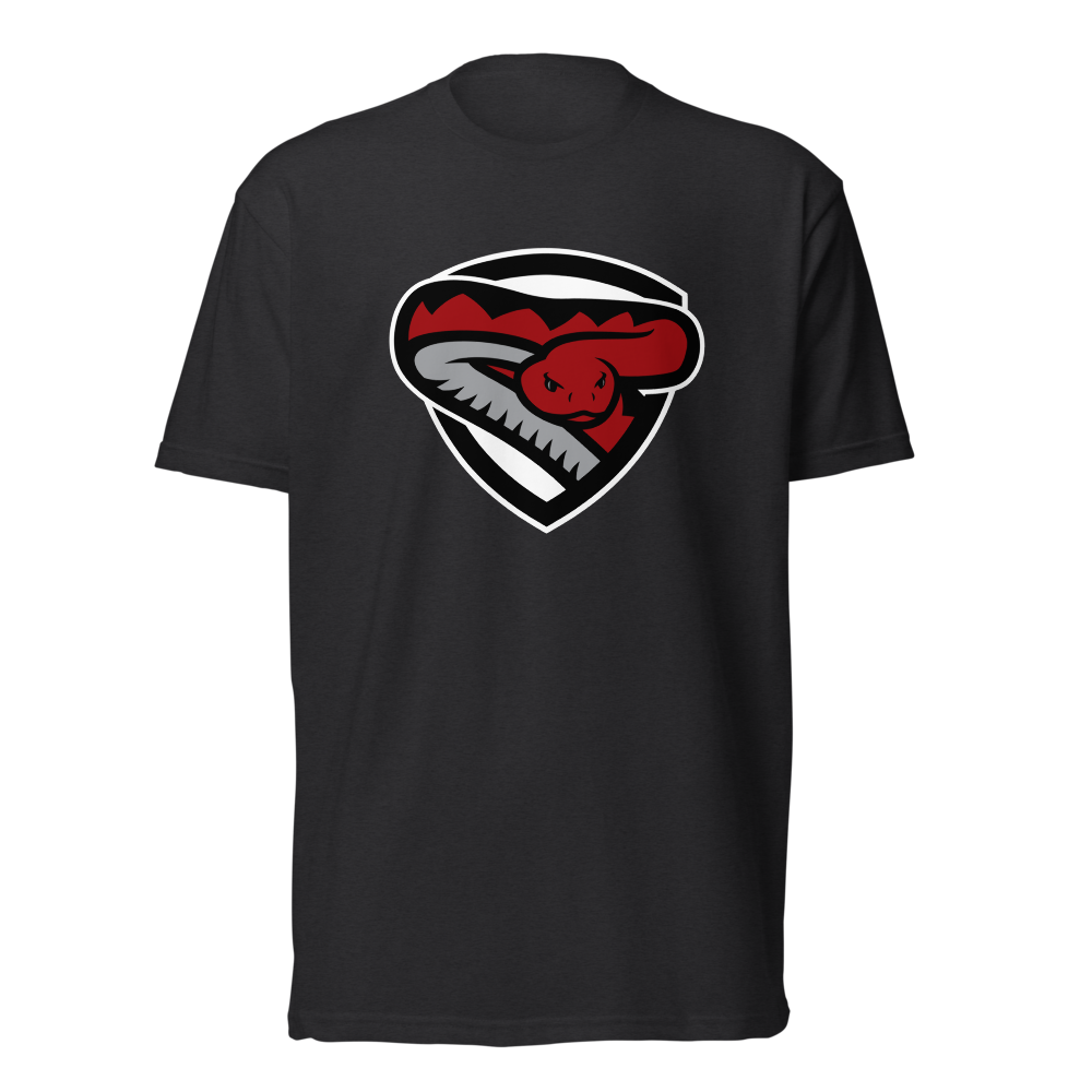 Desert Oasis High School Design 2 — Black