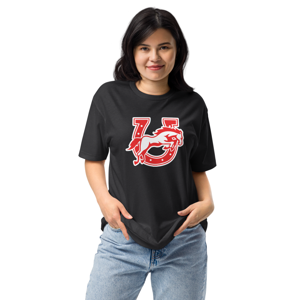 Earl Wooster High School Design 2 — Black