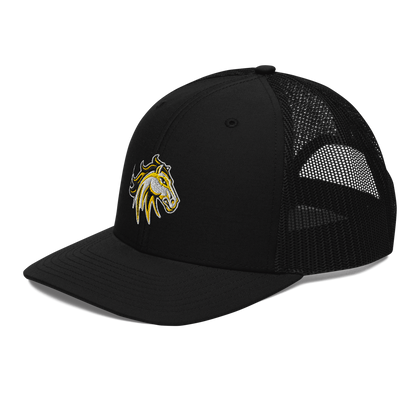 Cottonwood High School Design 2 — Black