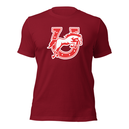 Earl Wooster High School Design 2 — Cardinal