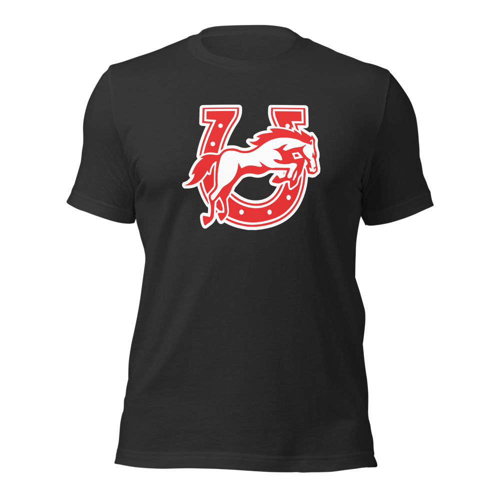Earl Wooster High School Design 2 — Dark Grey