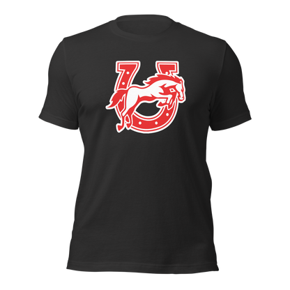 Earl Wooster High School Design 2 — Dark Grey