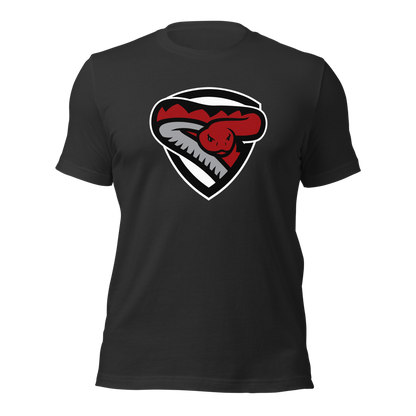 Desert Oasis High School Design 2 — Dark Grey