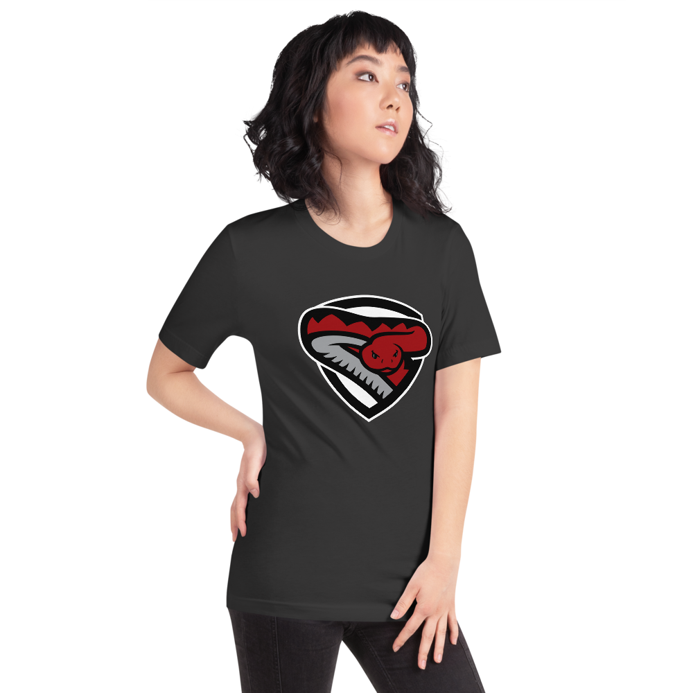 Desert Oasis High School Design 2 — Dark Grey