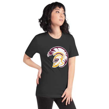 Pahrump Valley High School Design 2 — Dark Grey