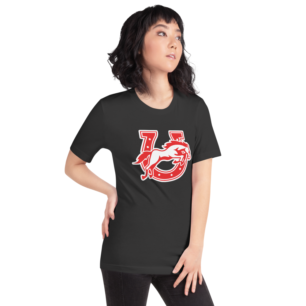 Earl Wooster High School Design 2 — Dark Grey