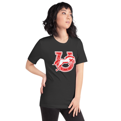 Earl Wooster High School Design 2 — Dark Grey