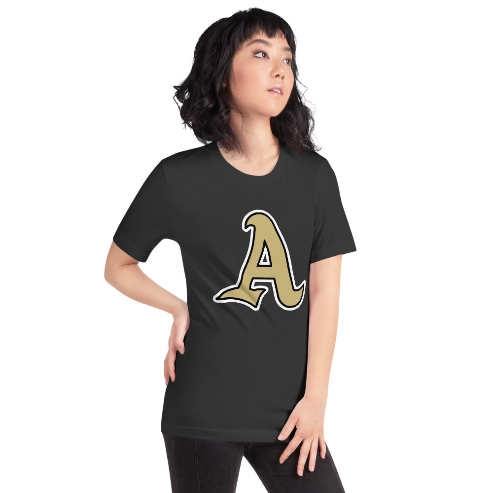 Ashford High School Design 2 — Dark Grey