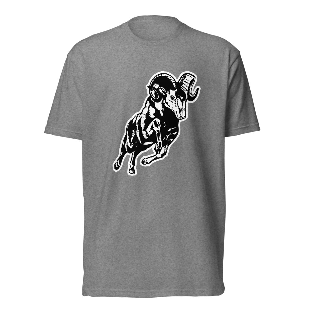 Radford High School Design 2 — Dark Heather Gray