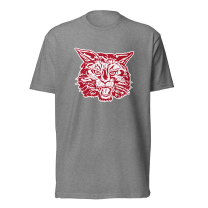 Shelby County High School Design 2 — Dark Heather Gray
