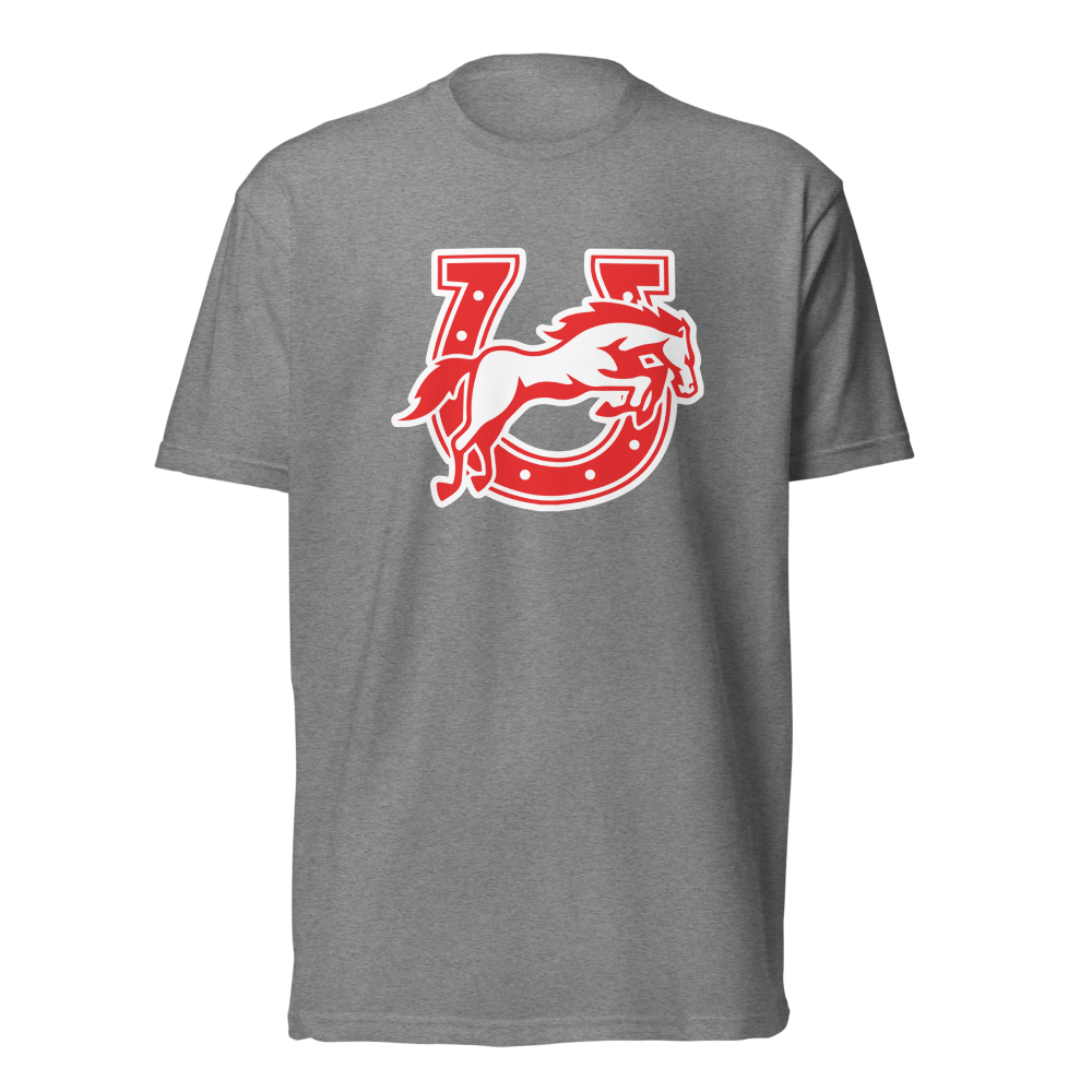 Earl Wooster High School Design 2 — Dark Heather Gray