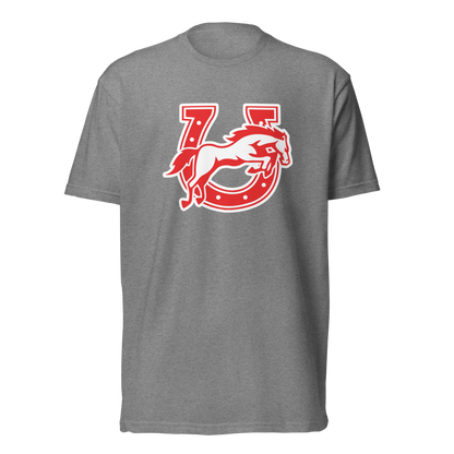 Earl Wooster High School Design 2 — Dark Heather Gray